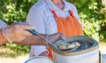 Võõpsu kalameestepäev