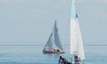 MG_6879