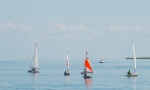 MG_6884