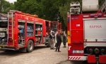 AJR00655
