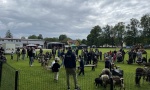 IMG_5378